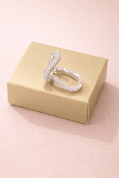 Brinco Elo Brilho Prata