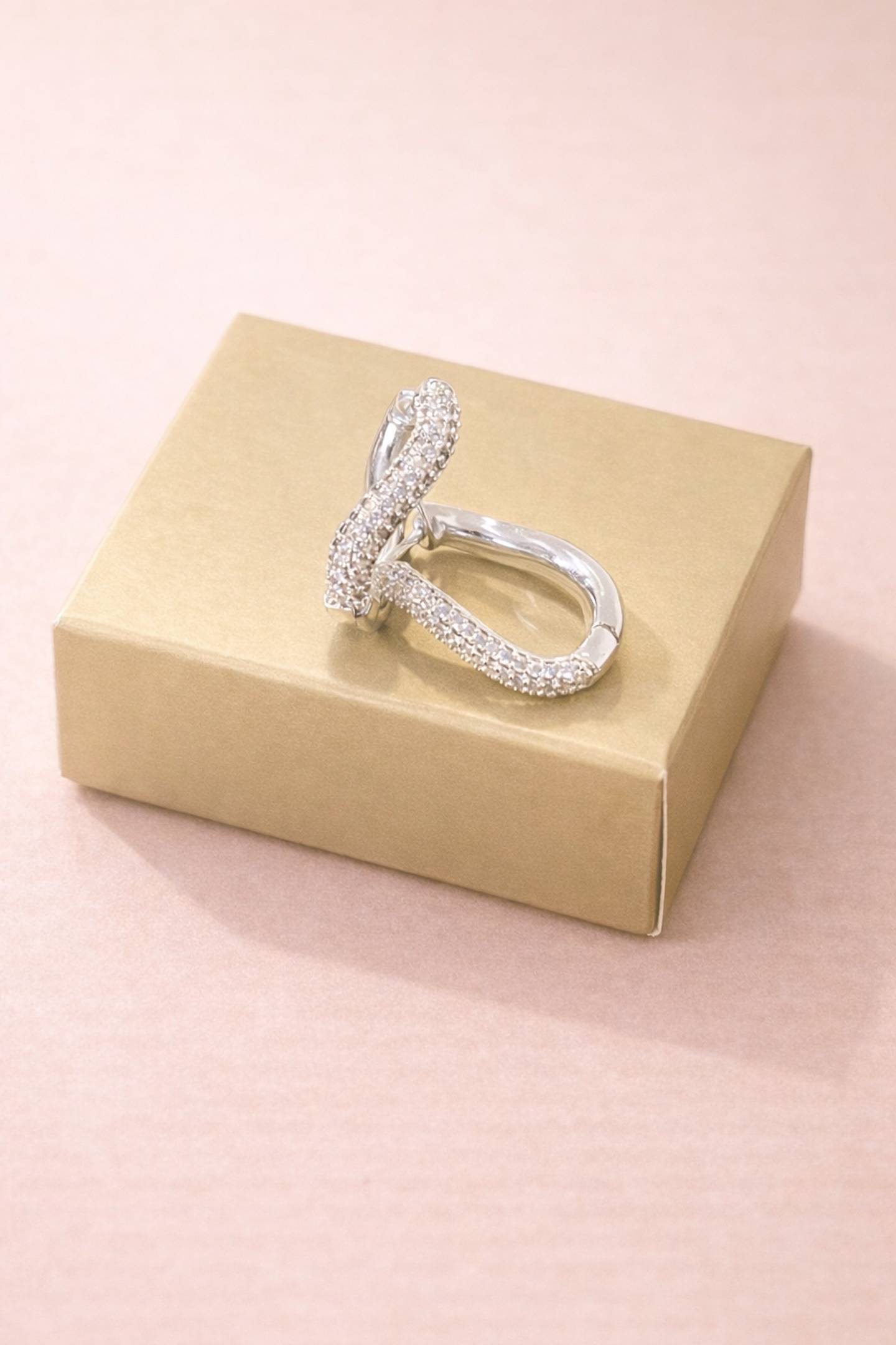 Brinco Elo Brilho Prata 2