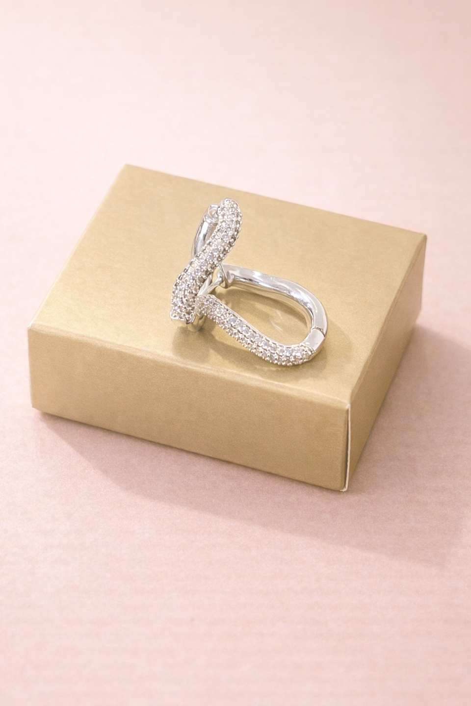 Brinco Elo Brilho Prata 2