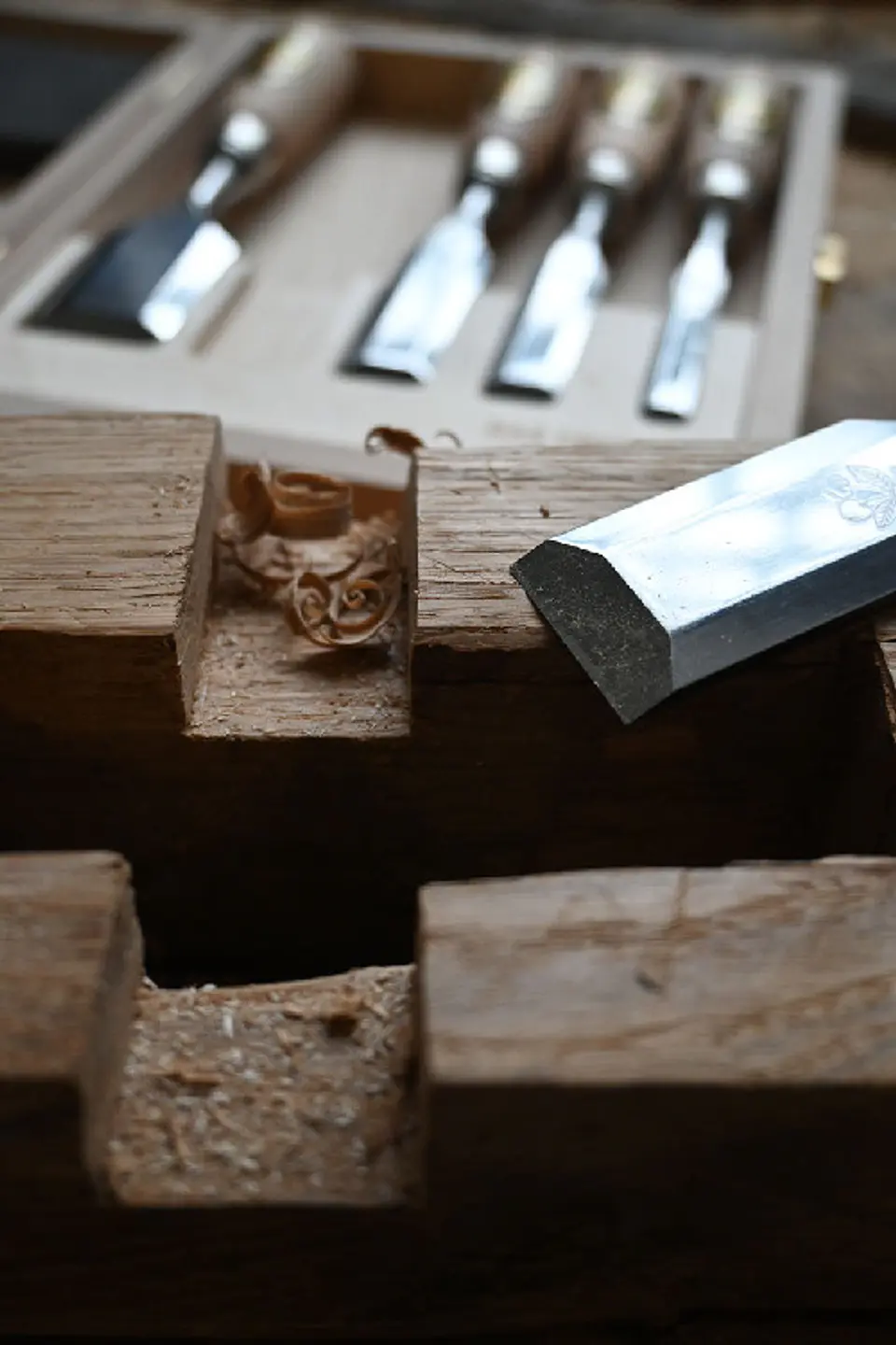 Conjunto de Formões Curtos em Caixa de Madeira (5 Peças) – Kirschen (Short Chisel Set) 4