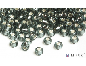 Silverlined Pewter 1