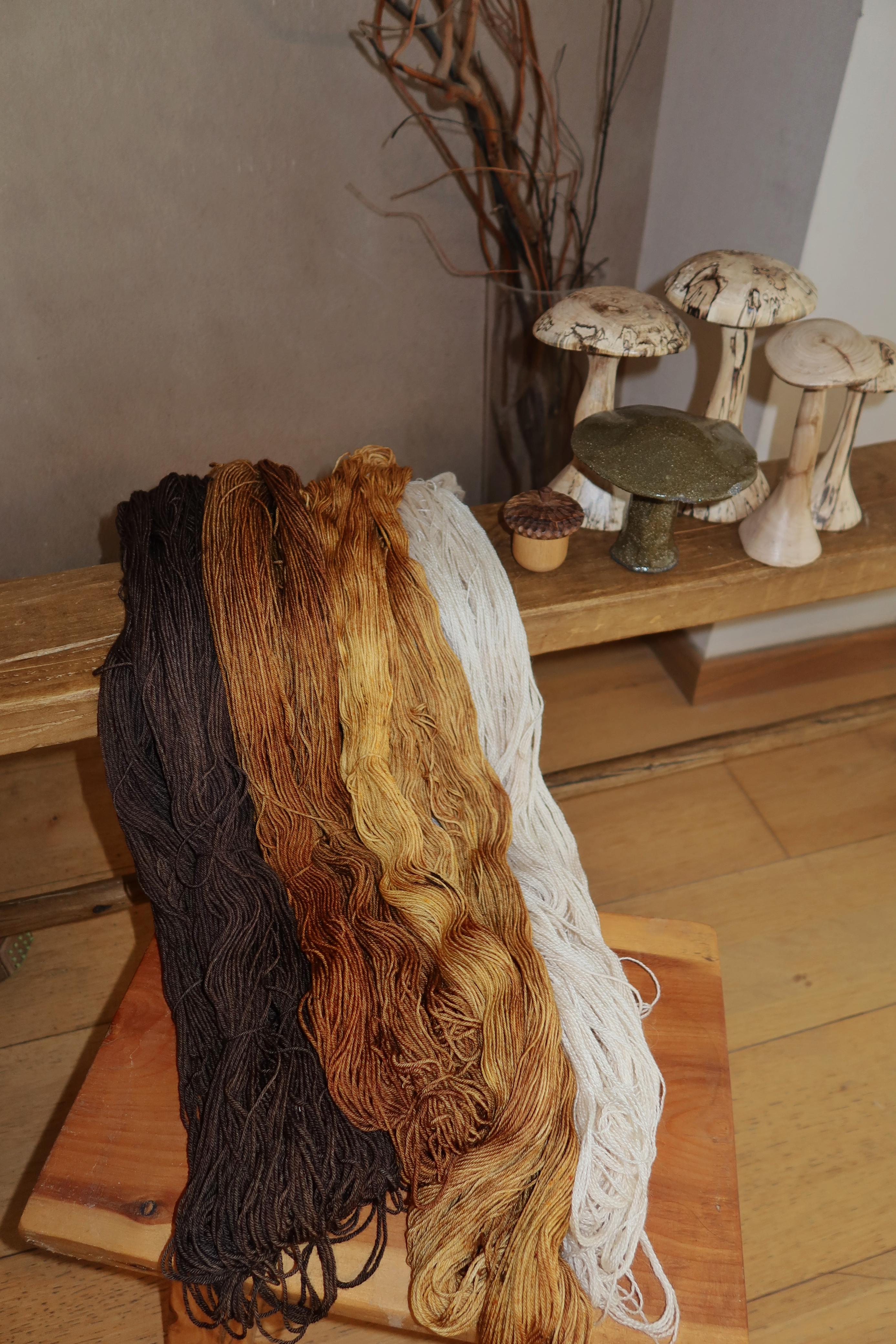 Tierra Húmeda by Nico Putz 3