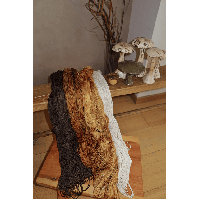 Tierra Húmeda by Nico Putz 2