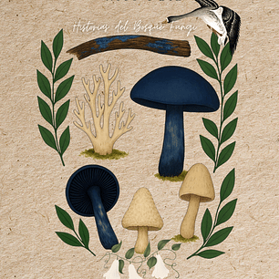 Azul Patagónico by Nico Putz