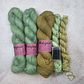 PRE VENTA Wild Roses KIT APPLE talla 2 - Miniatura 1