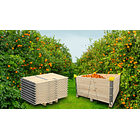 Bins Frutero Plegable 1200*1200*600 mm 3