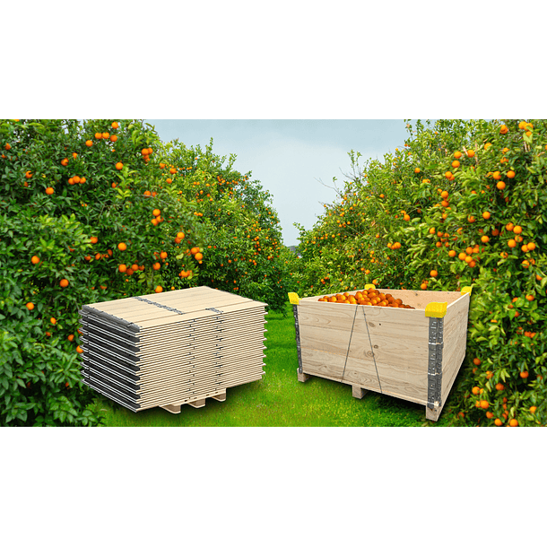 Bins Frutero Plegable 1200*1200*600 mm 3