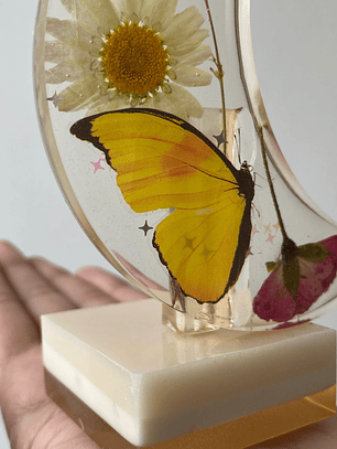 🌙 Luna de Vida – botánica con mariposa