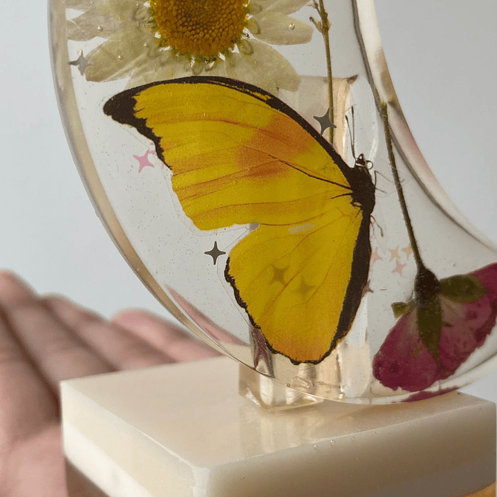 🌙 Luna de Vida – botánica con mariposa 2