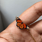 Collar Mariposa Mónarca (Edición Alas Extendidas) - Miniatura 3