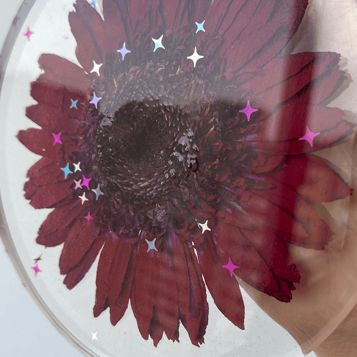 Colgante Mural Gerbera Carmesí 2