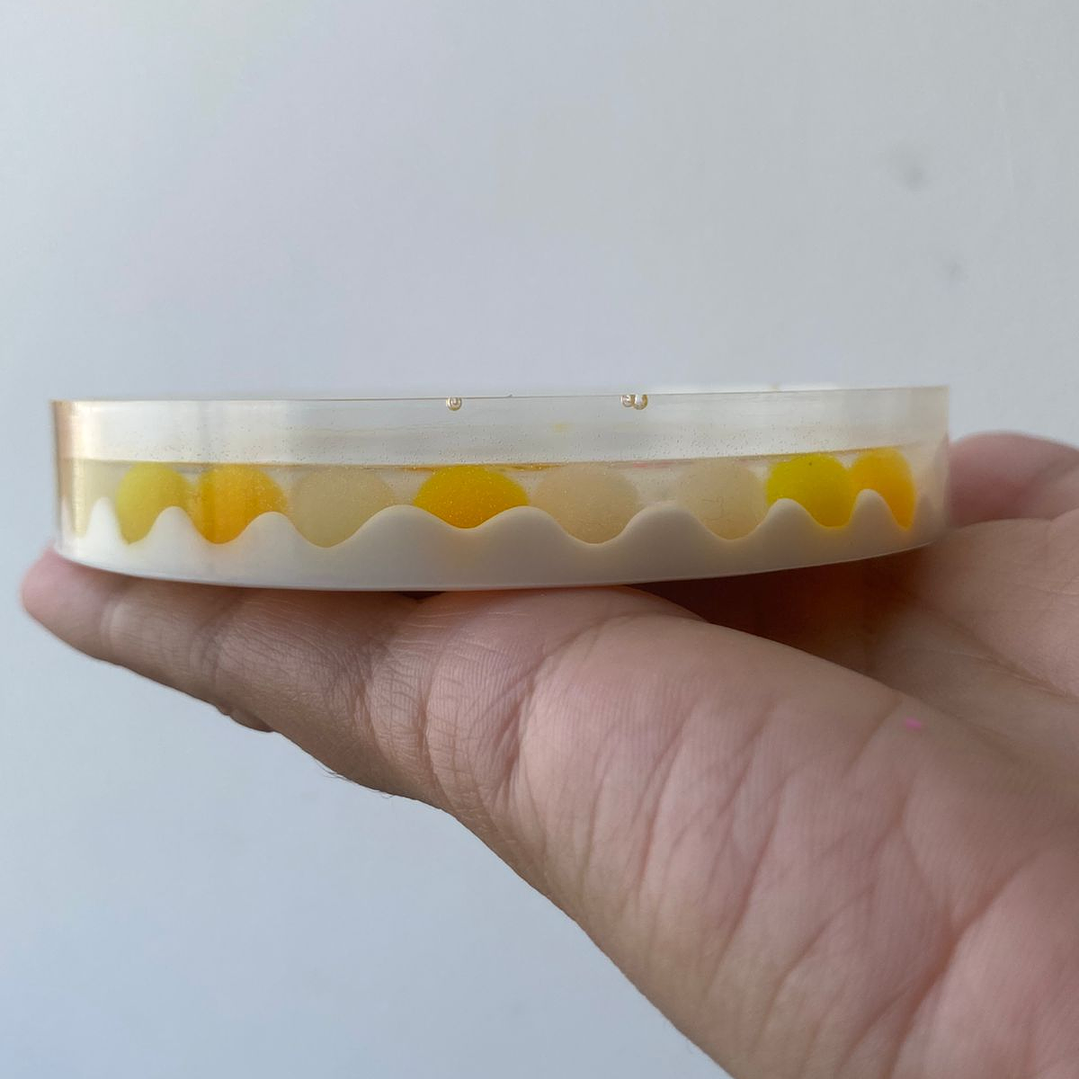 🦋 Base Decorativa “Jardín Encantado” 3