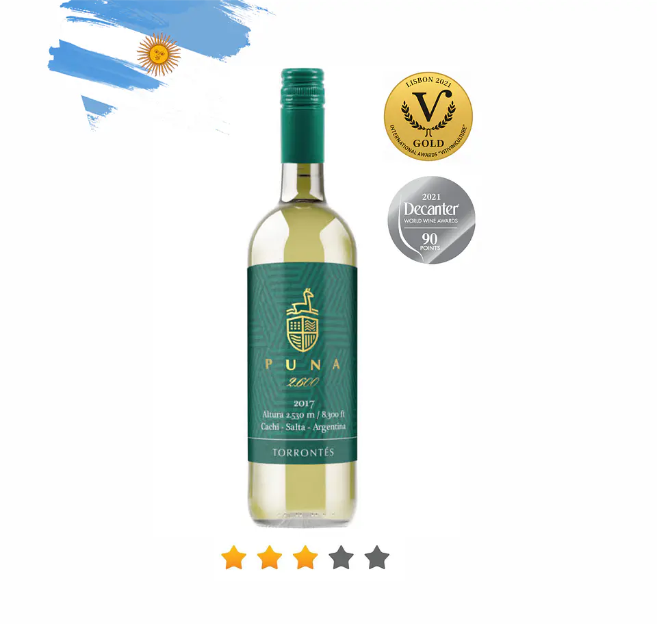 PUNA TORRONTES 1