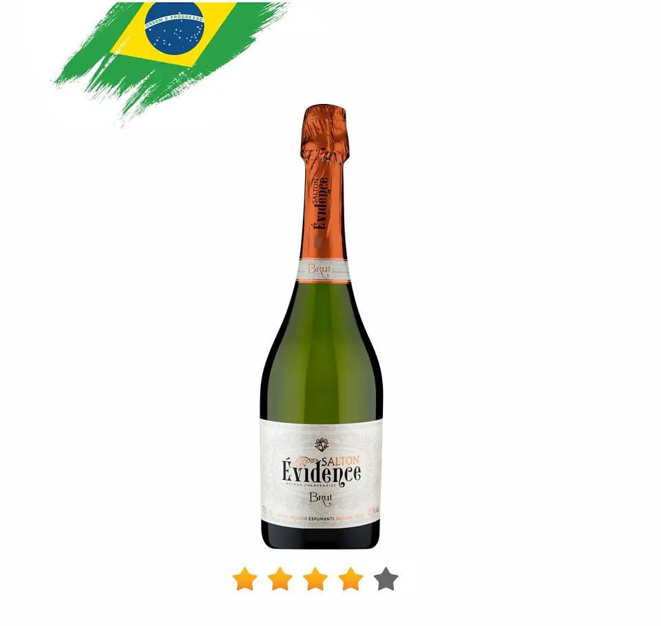 SALTON ÉVIDENCE BRUT  1