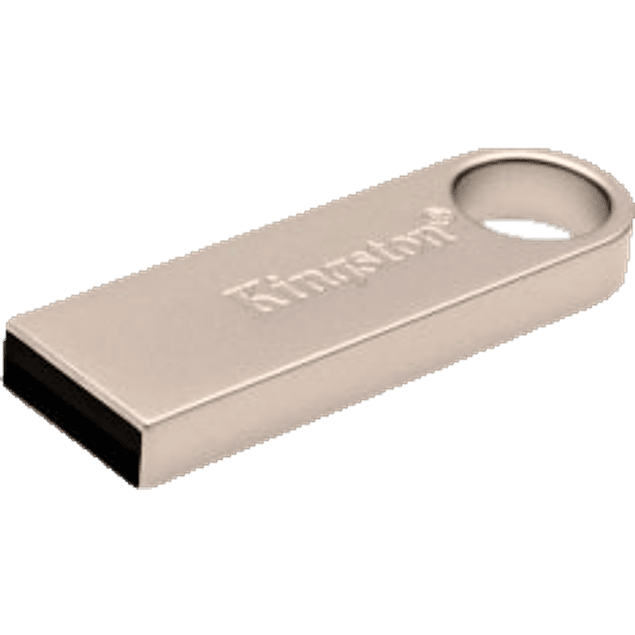 Memoria USB de 32GB DTSE9H 