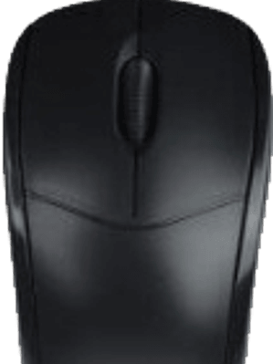 Mouse Óptico USB color negro