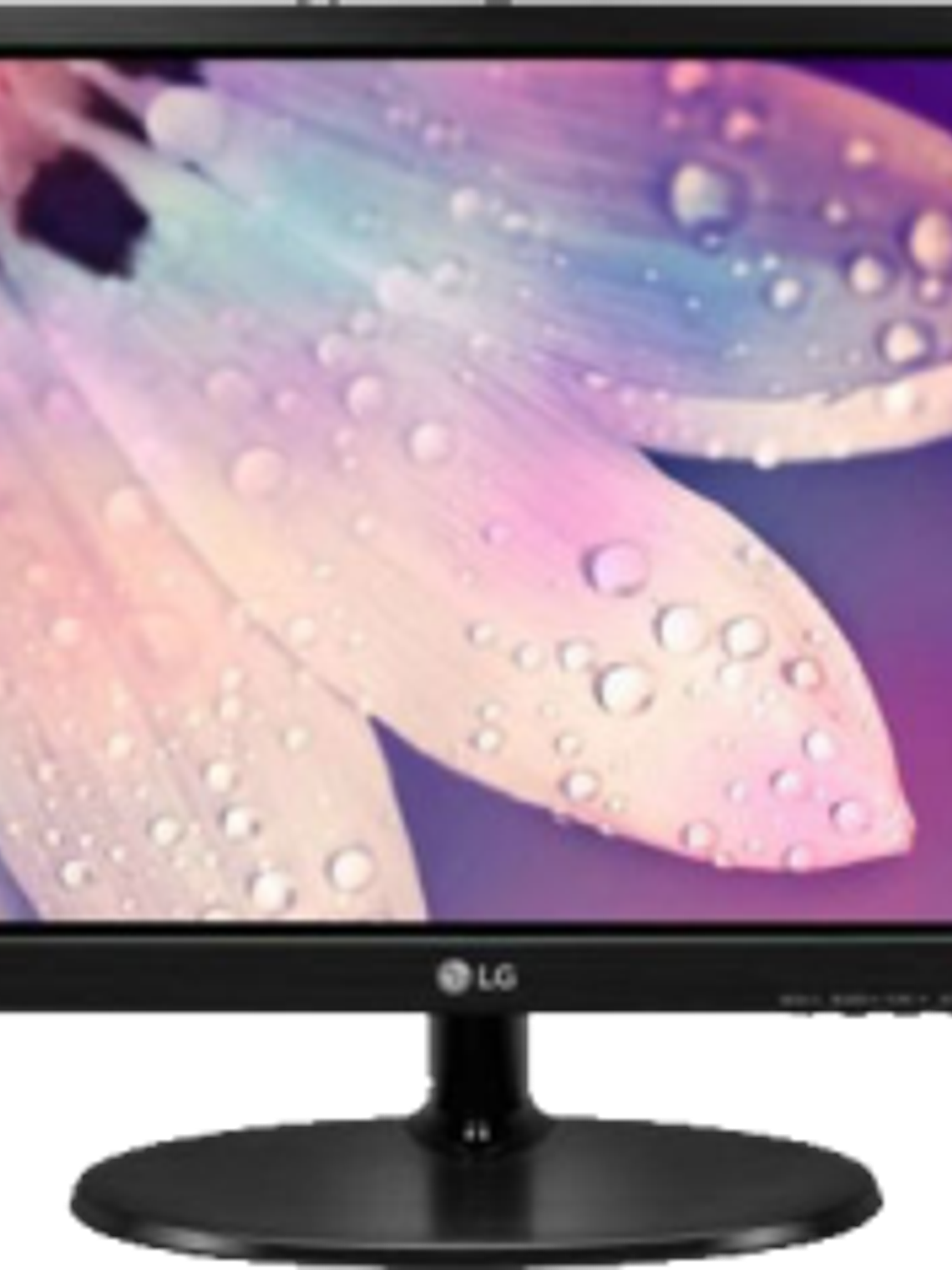 Monitor 19 Pulgadas, color Negro 1