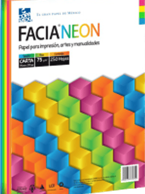 Hojas de colores neón, paquete con 250 hojas carta.