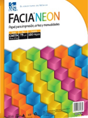 Hojas de color naranja neón tamaño carta, paquete con 100 hojas