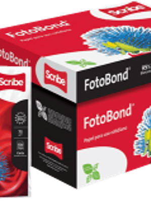 Papel Bond color blanco, tamaño carta, caja con 10 paquetes de 500 hojas