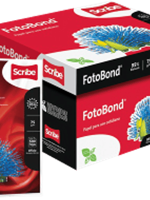 Papel Bond tamaño oficio, caja con 10 paquetes de 500 hojas