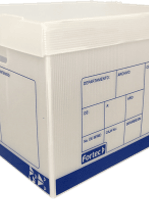 Caja de Plástico para Archivo tamaño carta