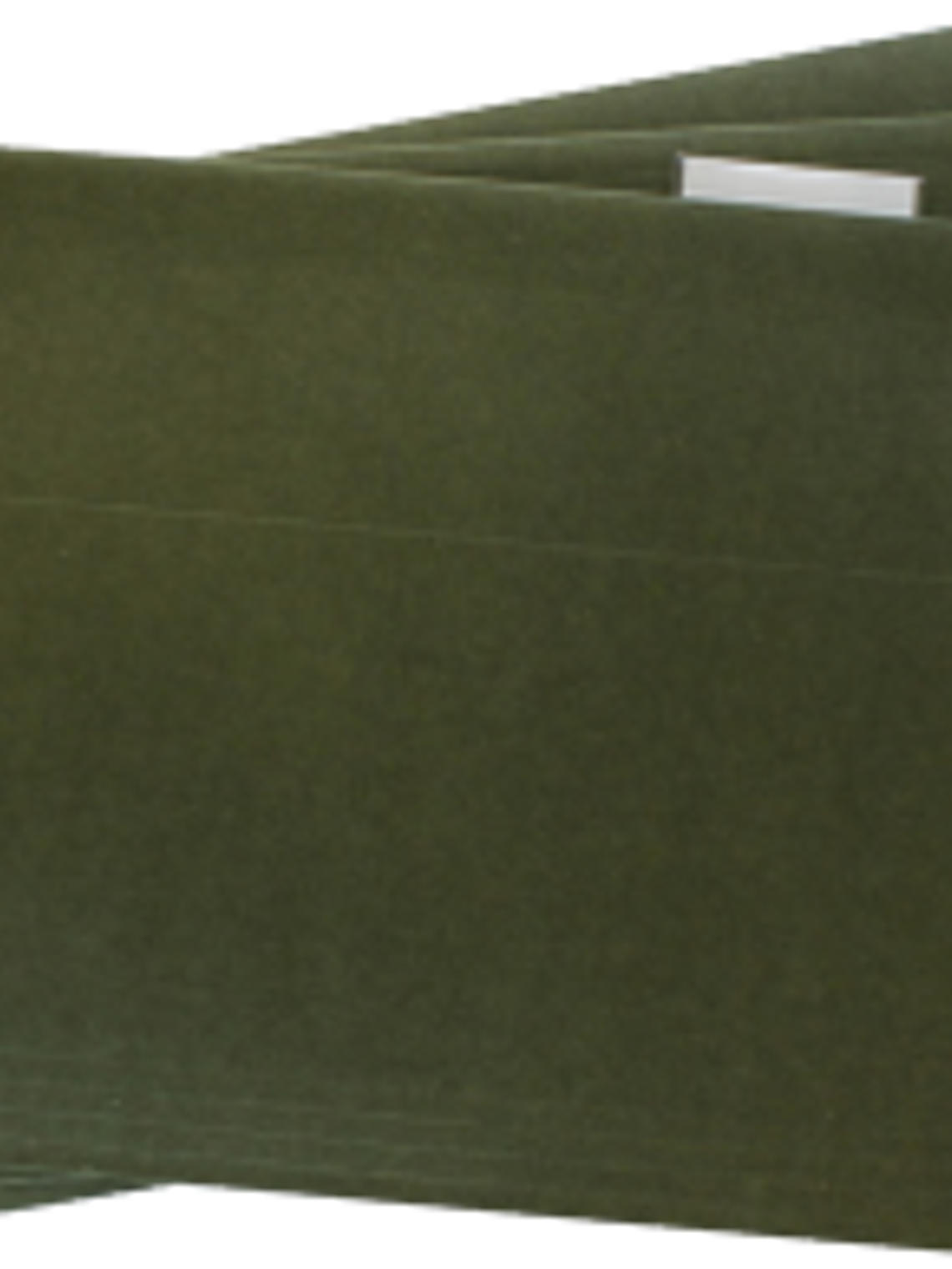 Folder Colgante color verde, tamaño oficio, caja con 25 folders 1