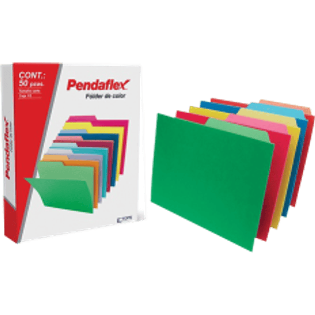 Folder color intenso surtidos