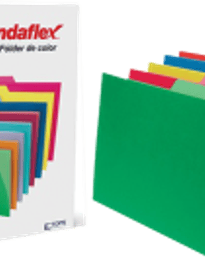 Folder color intenso surtidos