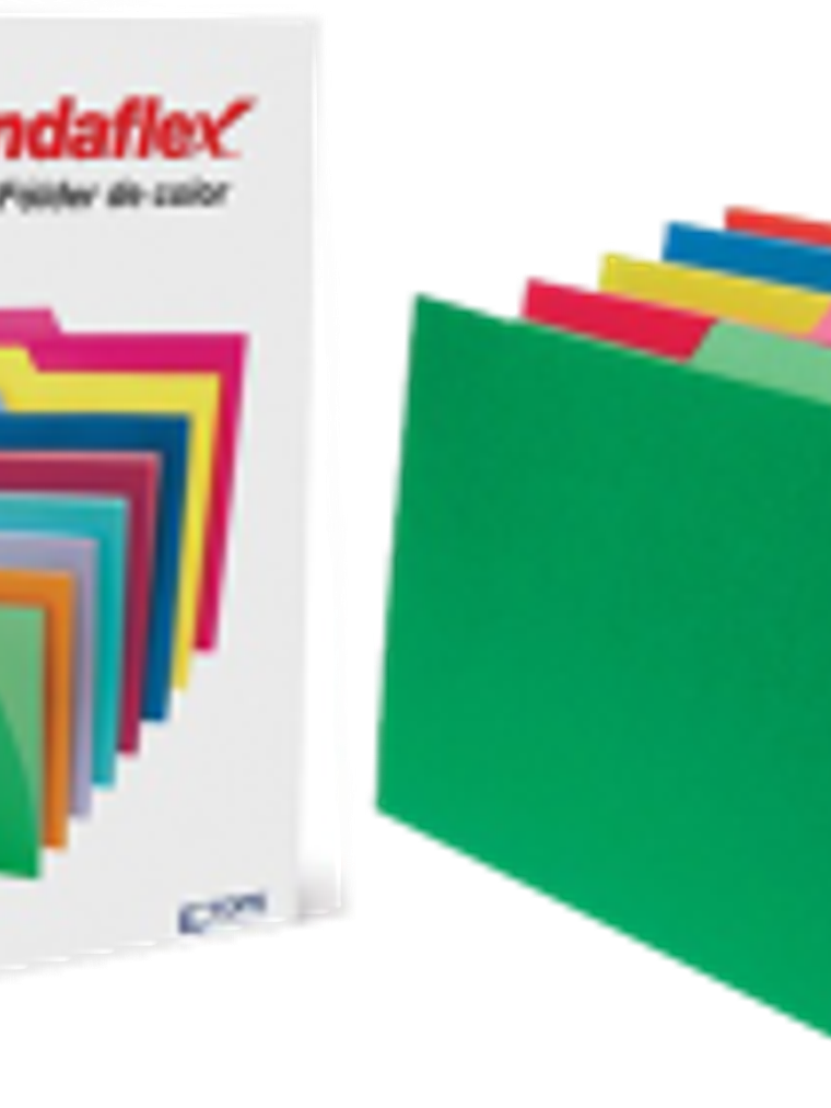 Folder color intenso surtidos 1