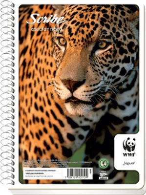 Cuaderno Forma Francesa cuadro grande, de 100 hojas