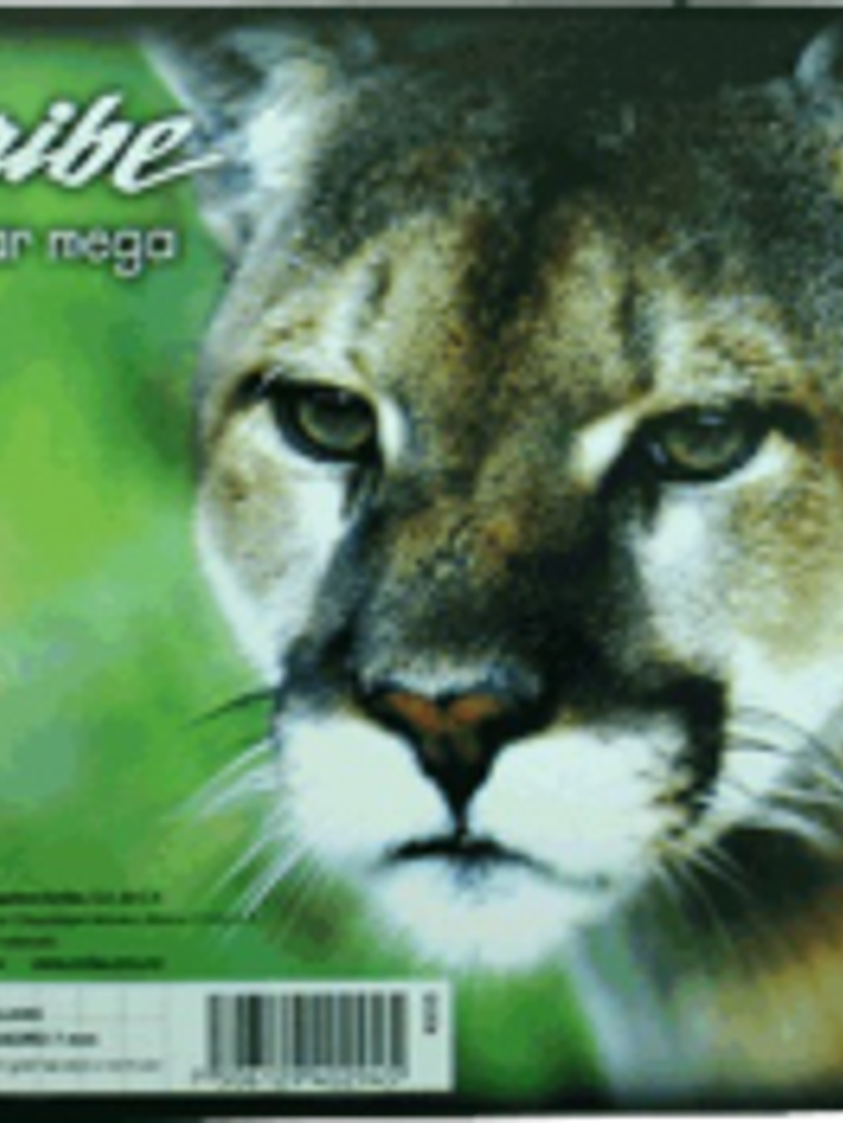 Cuaderno Forma Italiana de cuadro grande, de 100 hojas 1