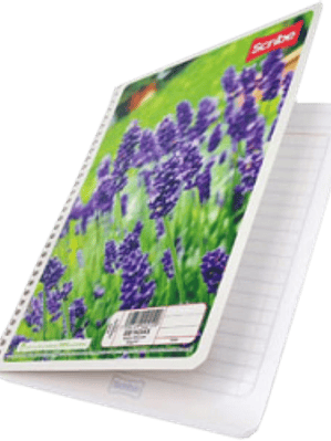 Cuaderno Forma Francesa de raya, de 100 hojas.