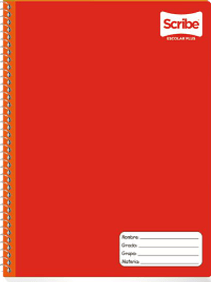 Cuaderno Profesional de cuadro de 5 mm, de 100 hojas.