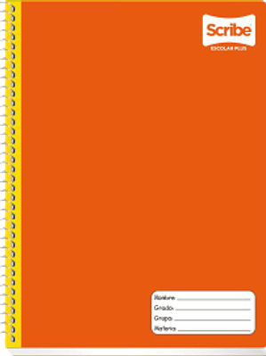 Cuaderno Profesional de raya con 100 hojas