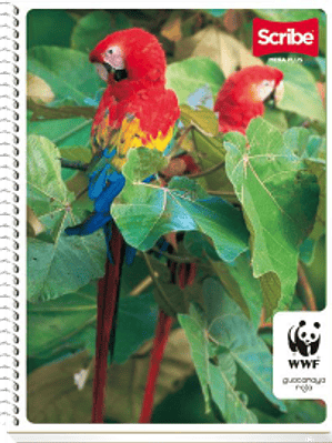 Cuaderno Profesional de dibujo con 100 hojas.