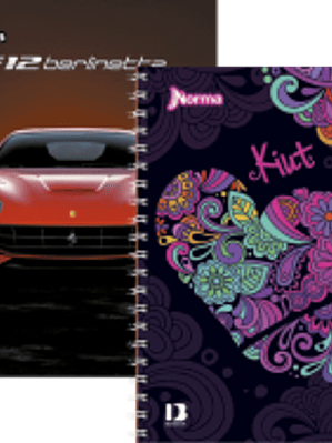 Cuaderno Profesional de cuadro grande con 160 hojas