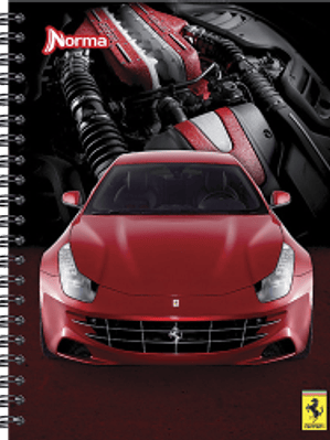 Cuaderno Profesional pasta gruesa cuadro chico, con 160 hojas