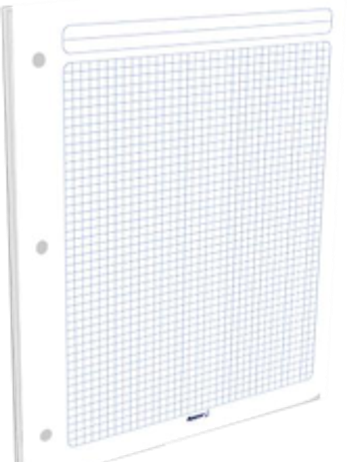 Hojas de repuesto para carpeta paquete con 100 hojas 1