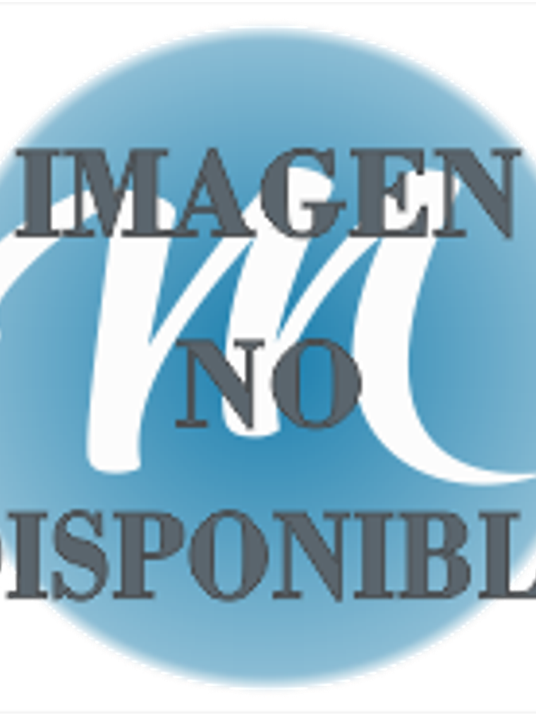 Indice Separadores de 8 divisiones con ceja transparente 1