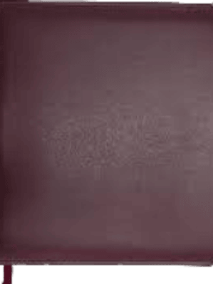 Agenda de ejecutiva, imitación piel.