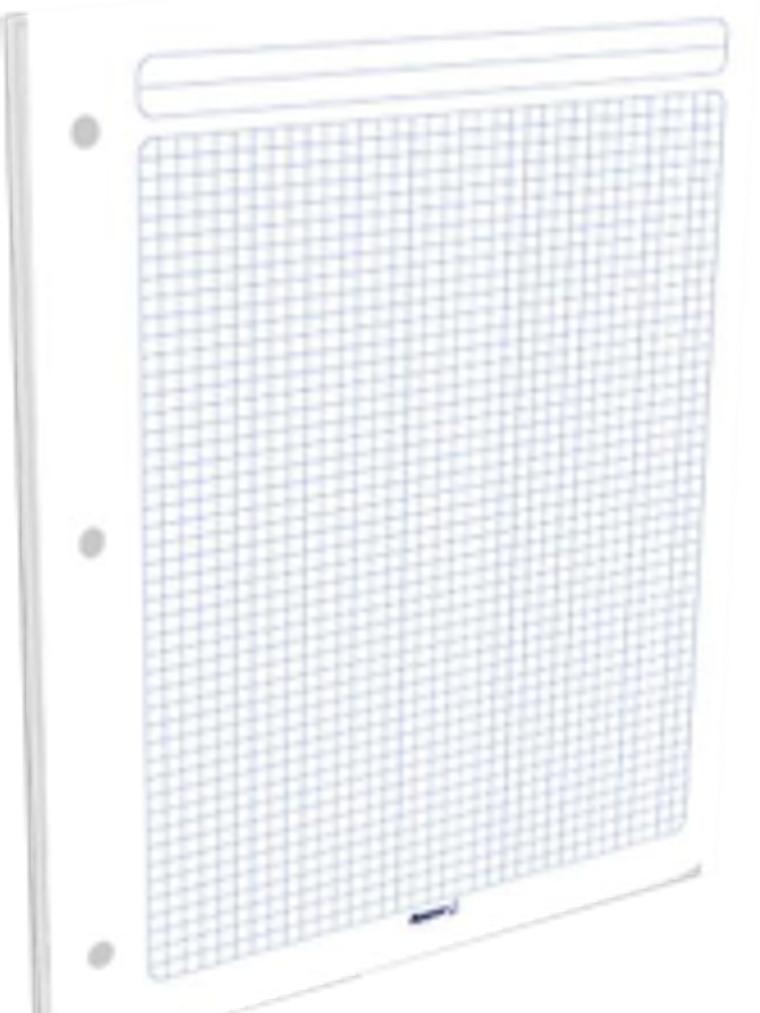 Hojas Cuadriculado de repuesto para carpeta tamaño carta. 1