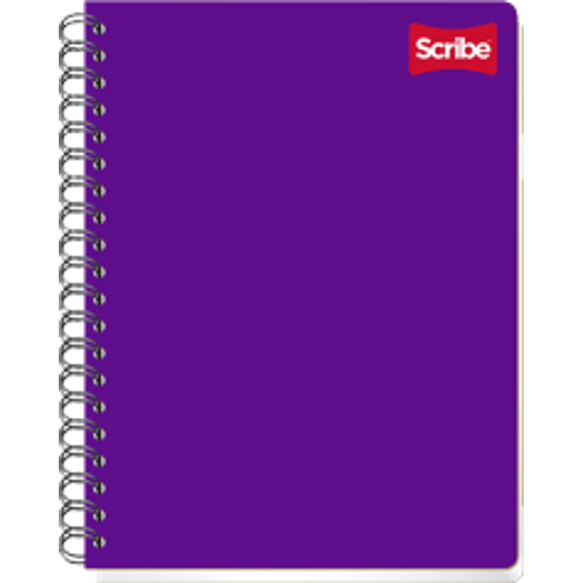 Cuaderno Profesional Espiral de 200 Hojas