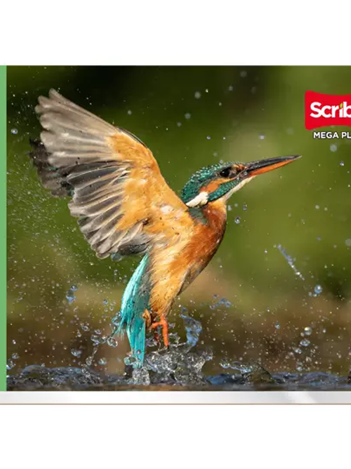 Cuaderno Scribe forma italiana mega plus 1