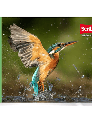 Cuaderno Scribe forma italiana mega plus