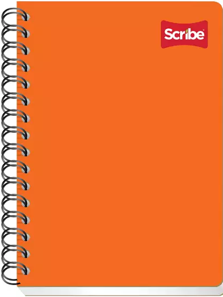 Cuaderno Scribe forma francesa clásico c 1