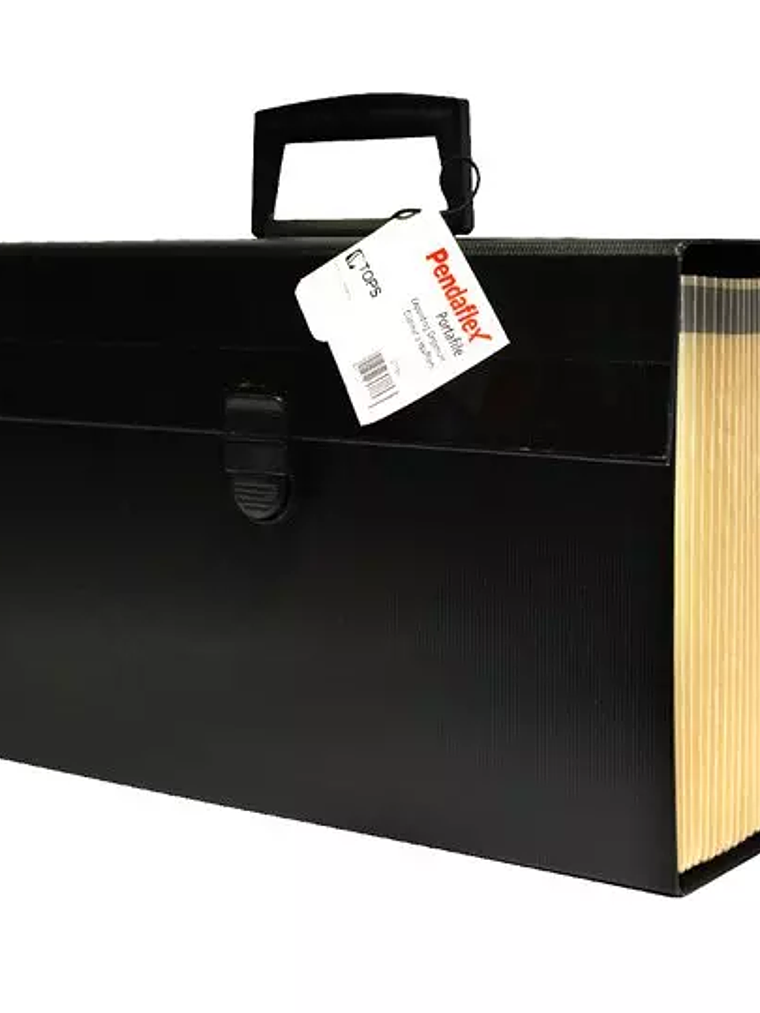 Organizador expandible Pendaflex color n 1