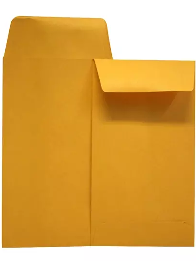 Sobre coin kraft engomado Ampad caja con 1