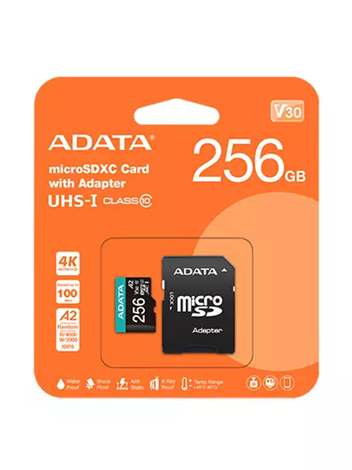 Memoria Flash Adata Premier, 256GB Micro 1