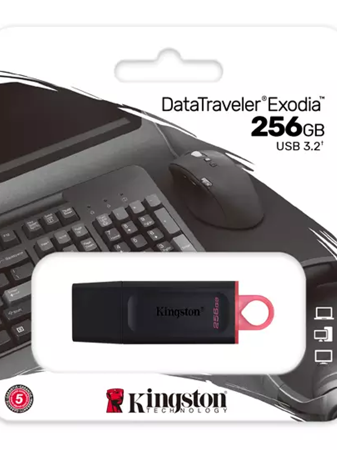 Memoria USB, 256GB, 3.2 Gen 1, Negro/Ros 1